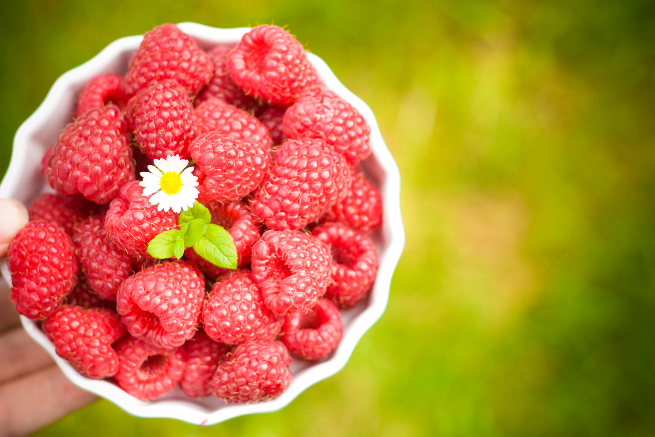 Señor, bendícenos por estos alimentos que vamos a tomar