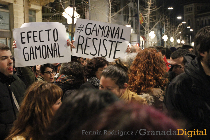 Manifestación en apoyo de Gamonal en Granada _03
