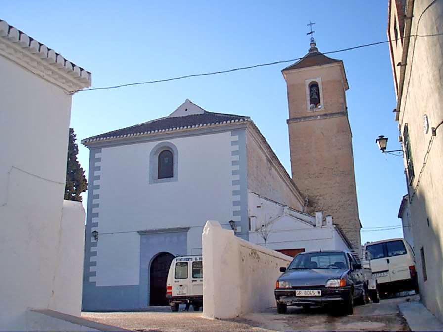 pinos del valle