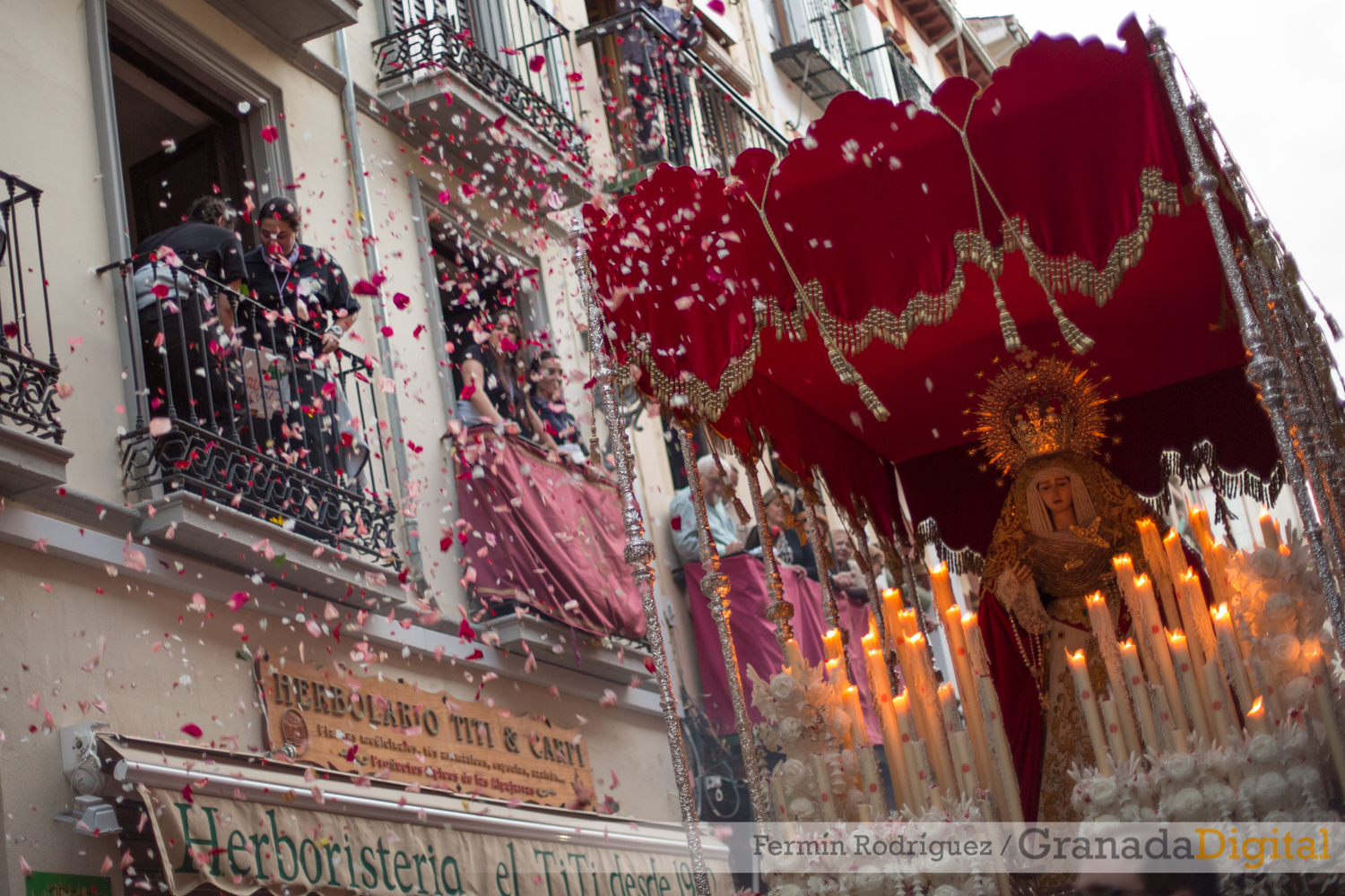 SSG2014_MARTES_54