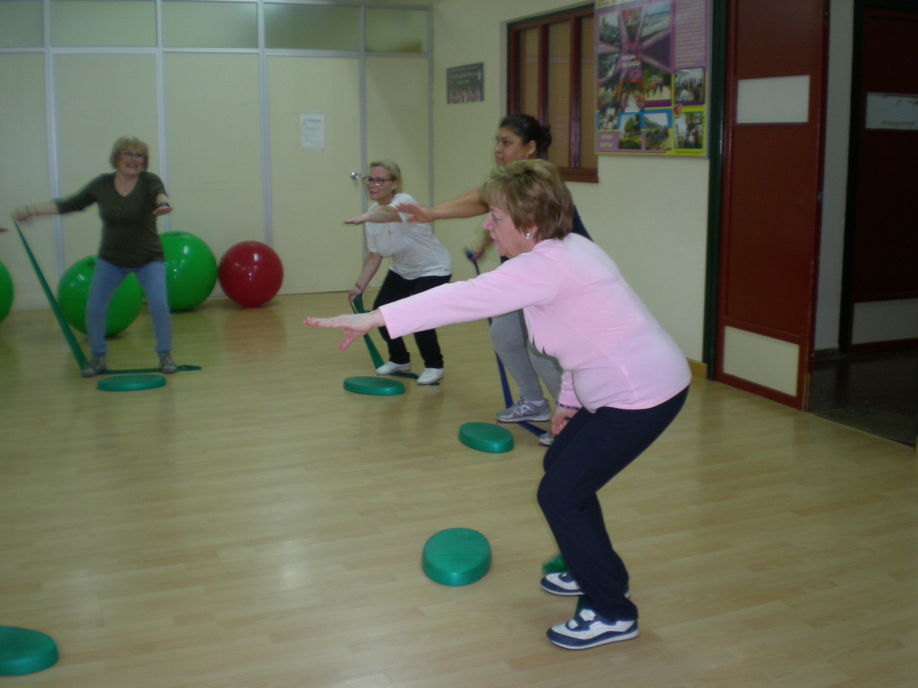 Participantes en el estudio