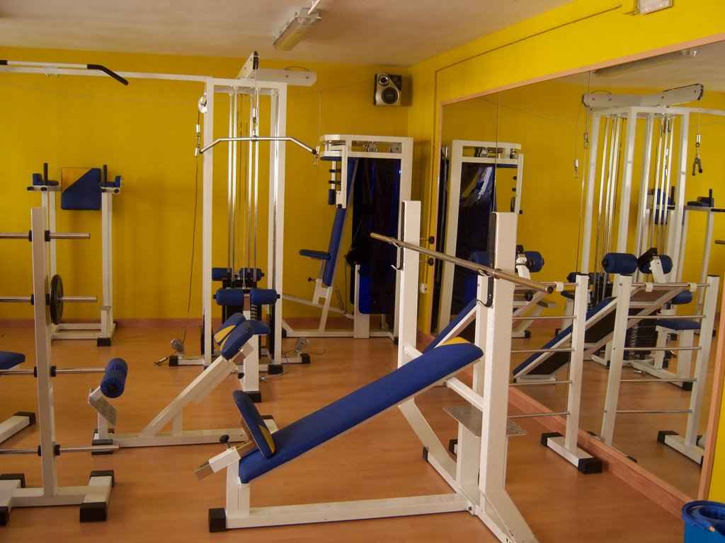 gimnasio-palestra_89350