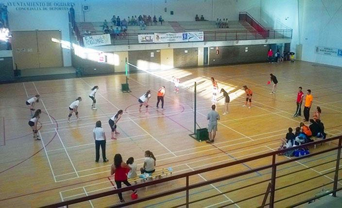 voleibol