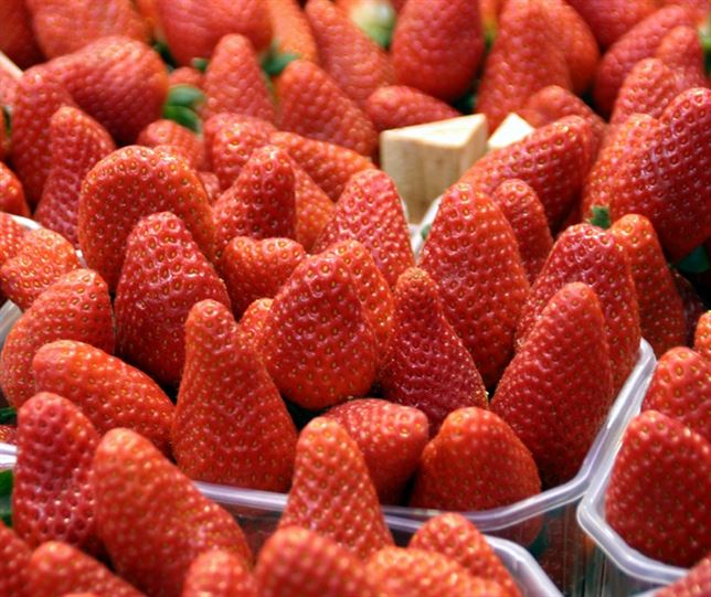 fresas