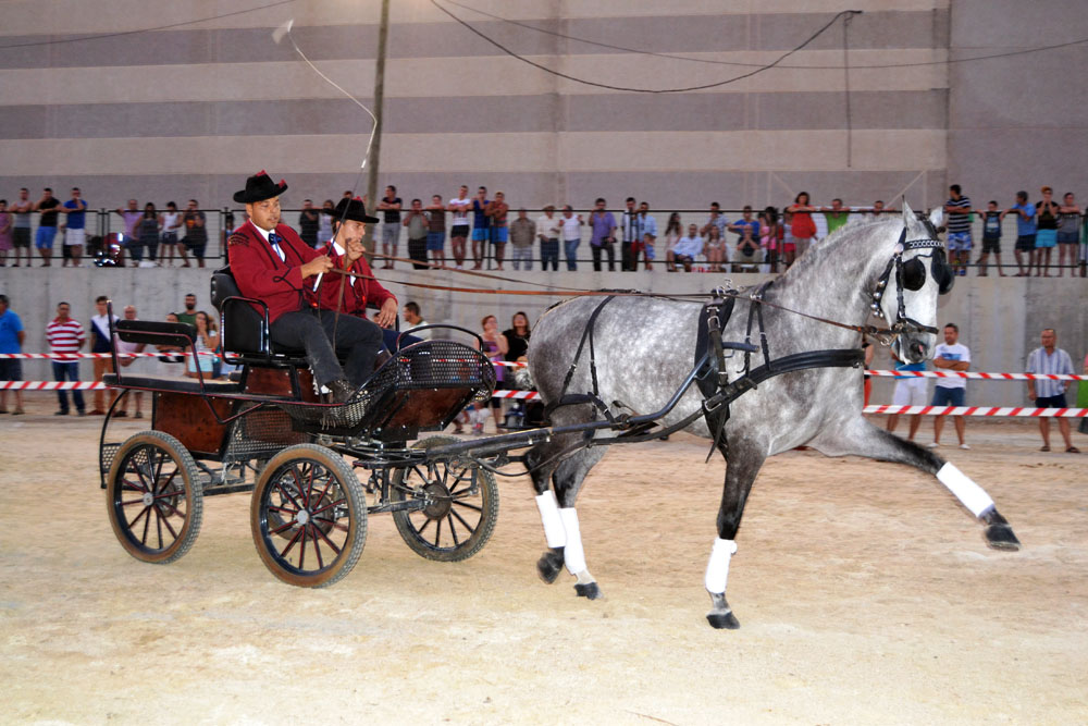 Pino Puente FERIA 2013 (21)