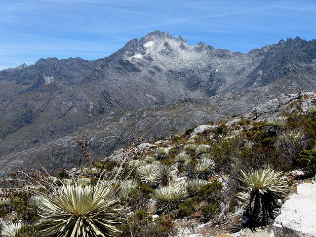 parque-nacional-sierra-nevada-1