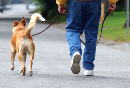 A02JAA Man walking dog