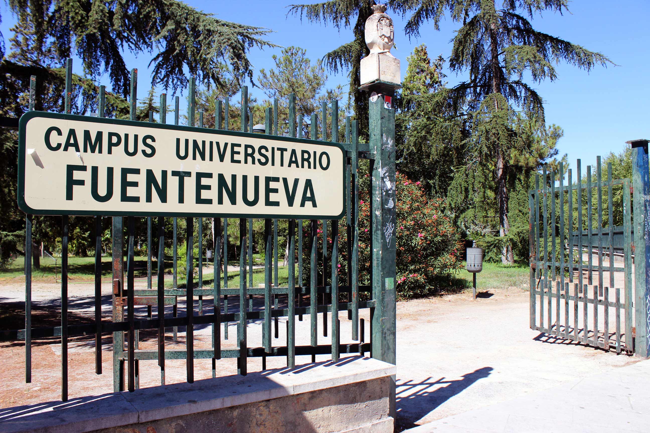 campus-fuentenueva