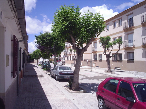 ayuntamiento-cijuela-10310254