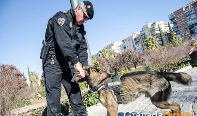 Taller-Policía-canina-12