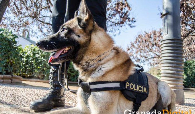 Taller-Policía-canina-2