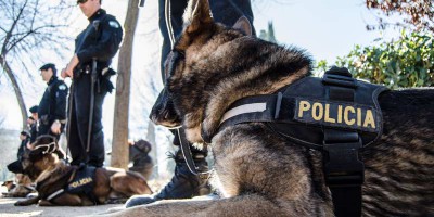 Taller-Policía-canina-3