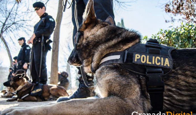 Taller-Policía-canina-3