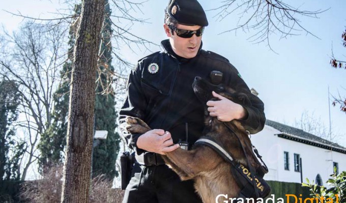 Taller-Policía-canina-5