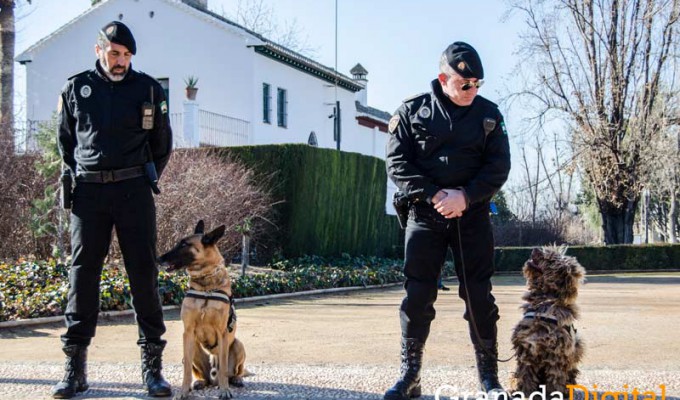 Taller-Policía-canina-