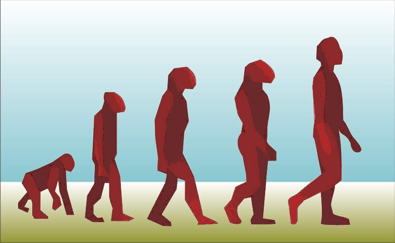 antropologia social evolucion