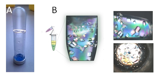 Hydrogels Figure 1