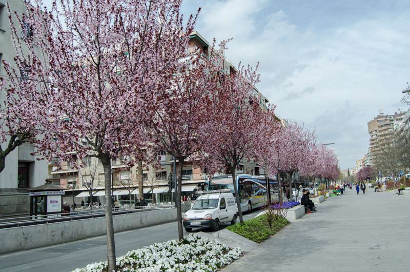 Primavera-(1-de-1)-Granada