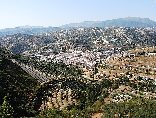 Algarinejo