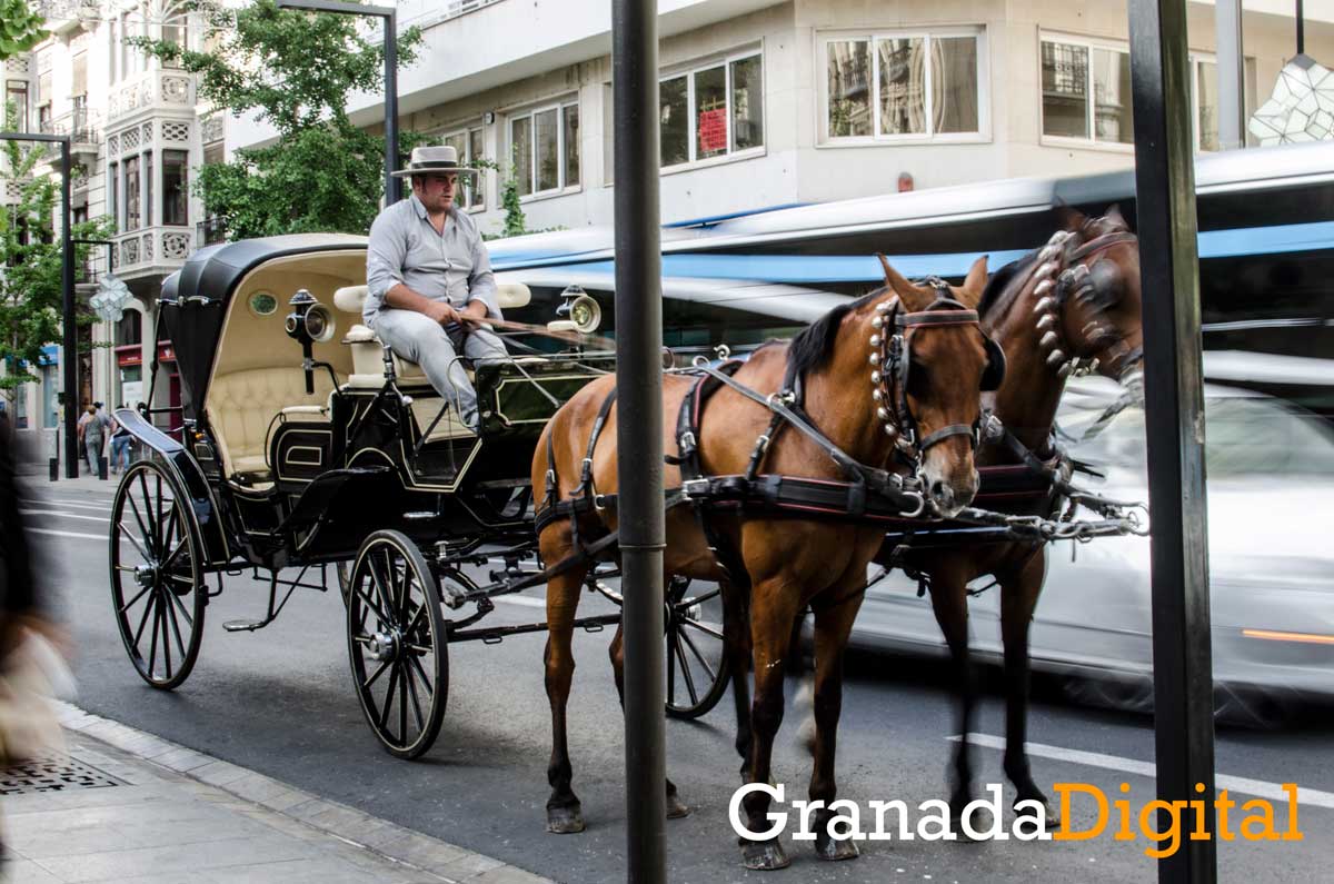 2-Caballo-Gran-Vía-Corpus