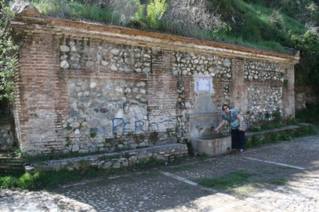 fuente-del-avellano