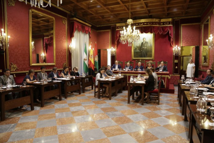 Pleno Ordenación