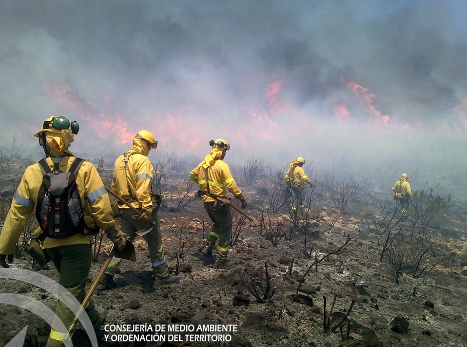 INCENDIO GUALCHOS