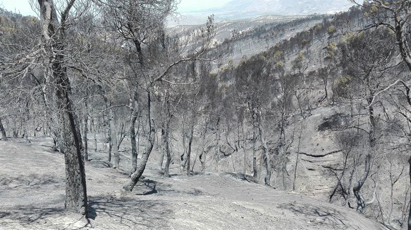 incendio lujar