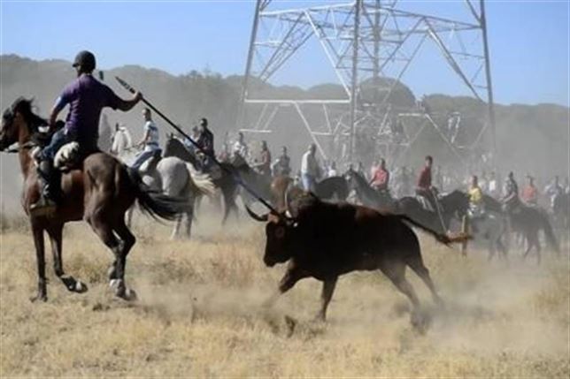 toro de la vega