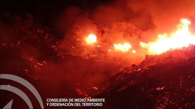 incendio forestal notaez