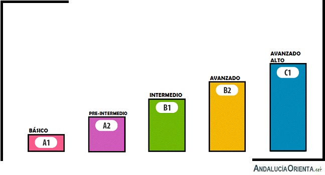 niveles idiomas