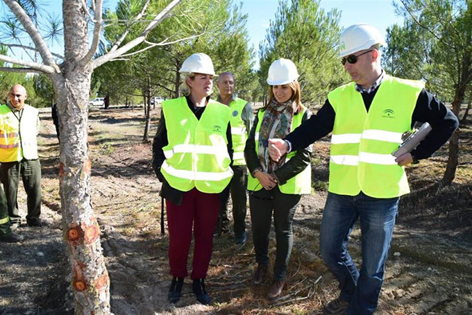 Inmaculada-Oria-Trabajo-Infoca-EP