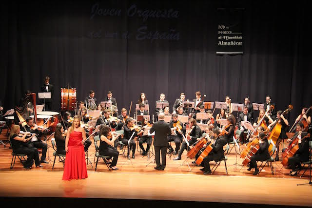 orquesta-sur-