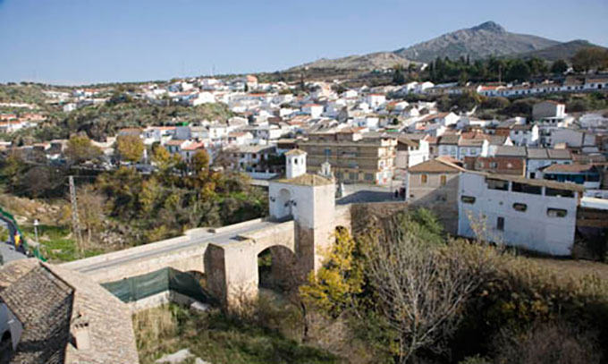 PINOS-PUENTE-VISTA-GENERAL