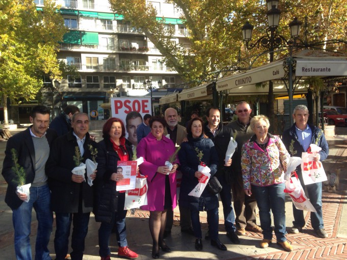 PSOE-OBSERVATORIO-SIERRA