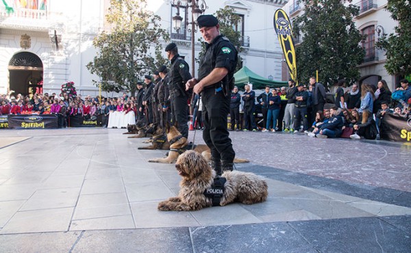 Unidad-Canina-Policia-Perros-Spiribol-001-GetlyArce