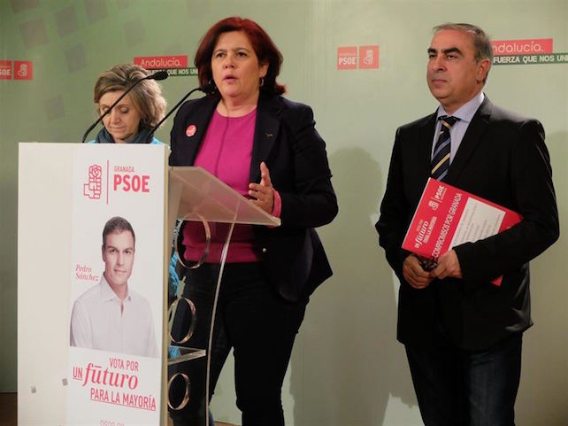 psoe-granada-elvira-ramon