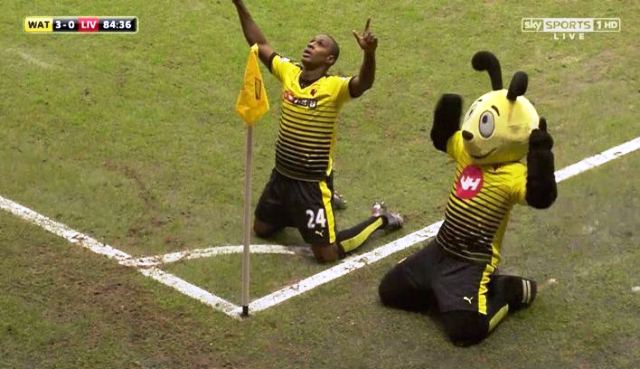 ighalo-mascota