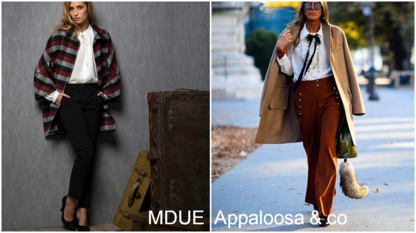 mdue y appaloosa