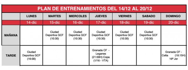 plan entrenamientos 14-20D