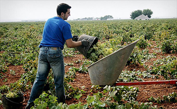 joven agricultor