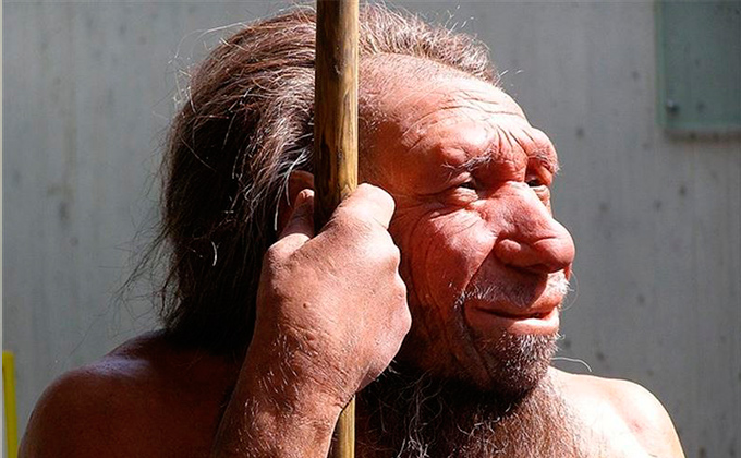 neandertal