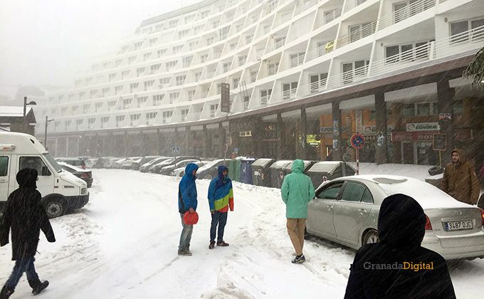 Sierra nevada prado llano nieve 14 febrero 2016-01