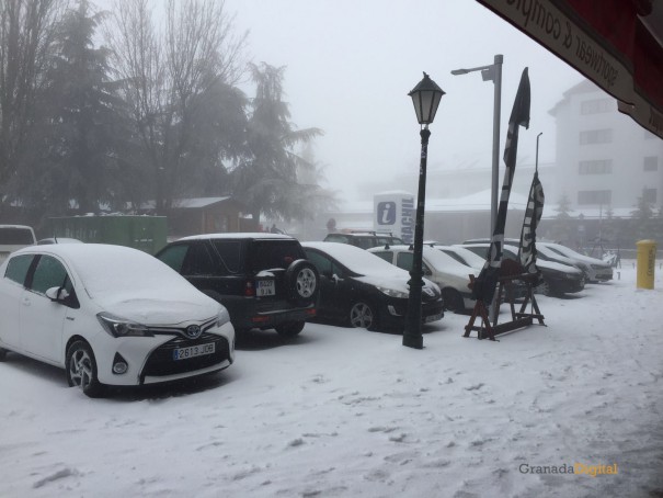 Sierra nevada prado llano nieve 14 febrero 2016-05