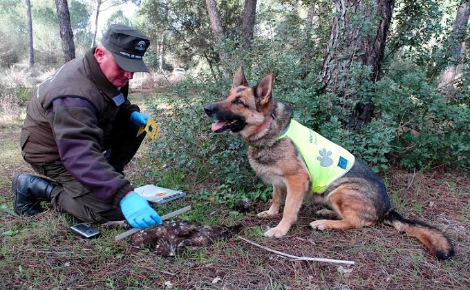 unidad-canina-cebos