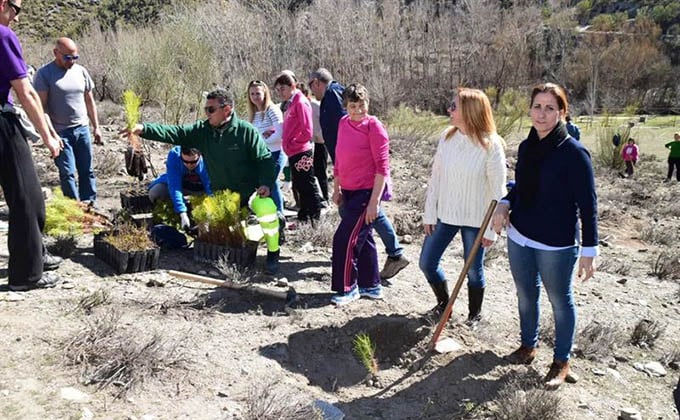 reforestacion-junta