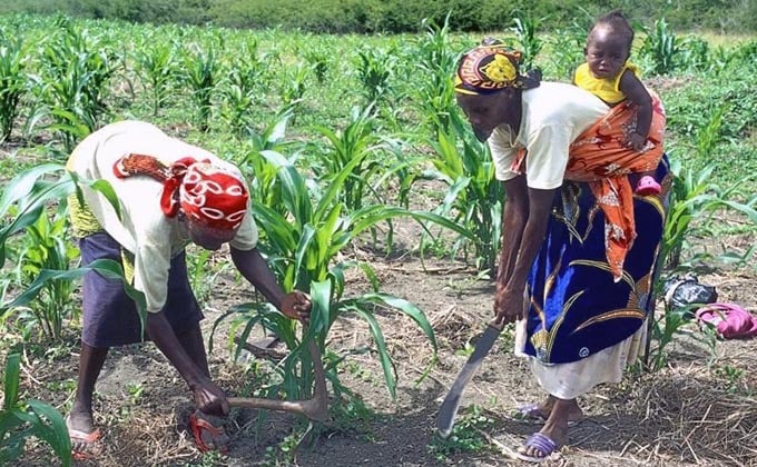 trabajadoras-tierra-agricultura