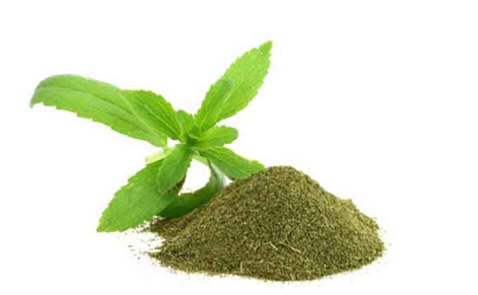 stevia