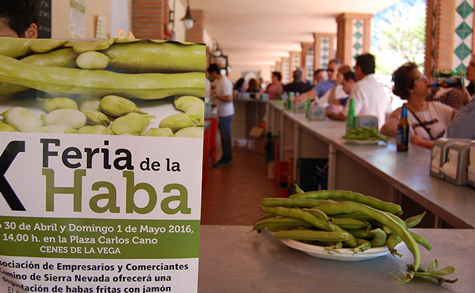 FERIA HABA 1