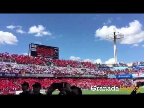 Himno-del-Granada-CF-en-último-partido-de-la-Liga-BBVA